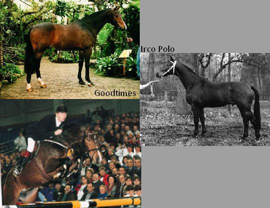 Vader en moeders vader